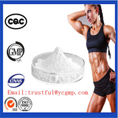Nandrolone phenylpropionate as an anabolic steroid