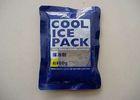 Custom Ice Gel Packs100 200 250 500 1500g 14 * 10cm for 12~24 hours