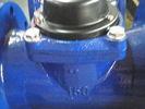 50mm Woltman Electronic Industrial Water Meter For Irrigation With Iron Cast Body