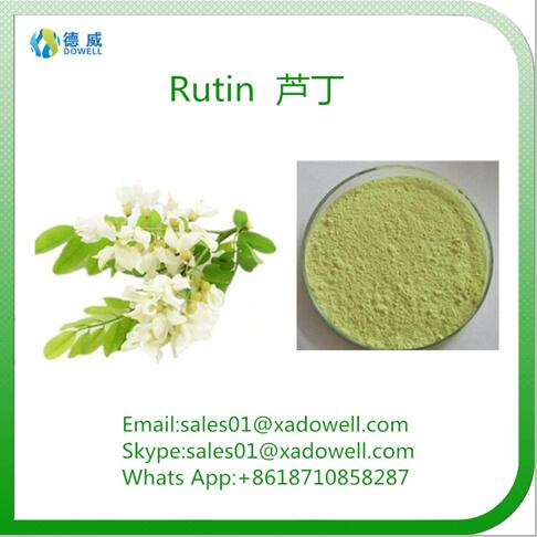 Plant Extract Powder Rutin CAS No:153-18-4 EP98%Min/NF11 95%Min/DAB 98%Min
