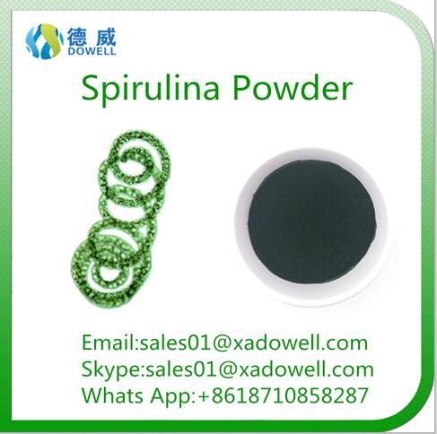 Factory Supply 100% Natural Extract Powder of Organic Spirulina
