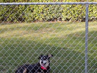 GBW Chain Link Fence Fabric