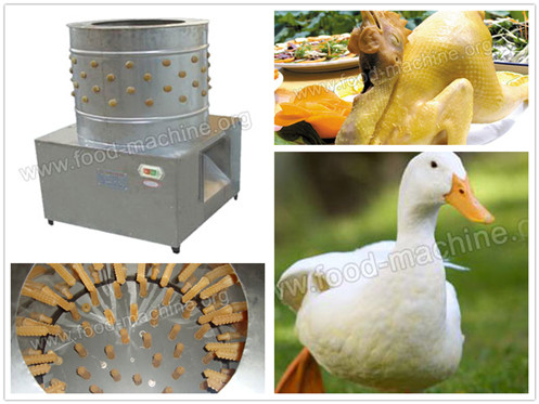 Poultry Hair Removing Machine