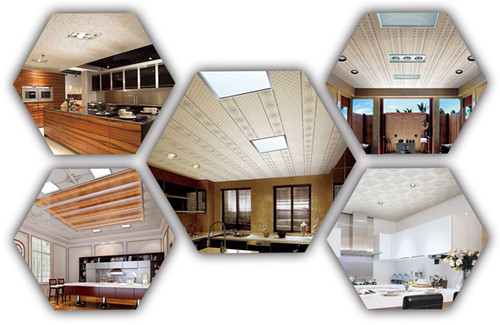 pvc ceiling panel for kitchens