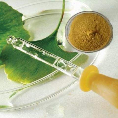 100% Natural ginkgo biloba extract