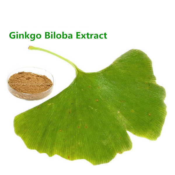Professional Factory Direct Supply Ginkgo Biloba Leaf Extract