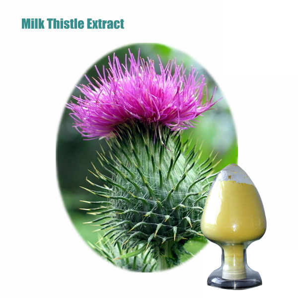 water soluble milk thistle extract free sample