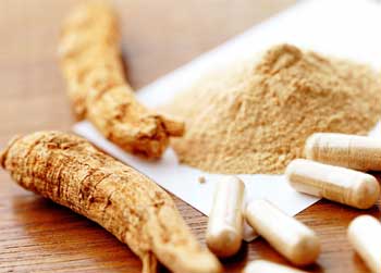 High Quality Panax Ginseng Extract