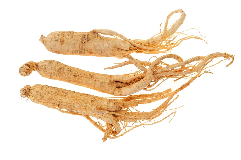 Factory Supply Panax Ginseng Root Extract