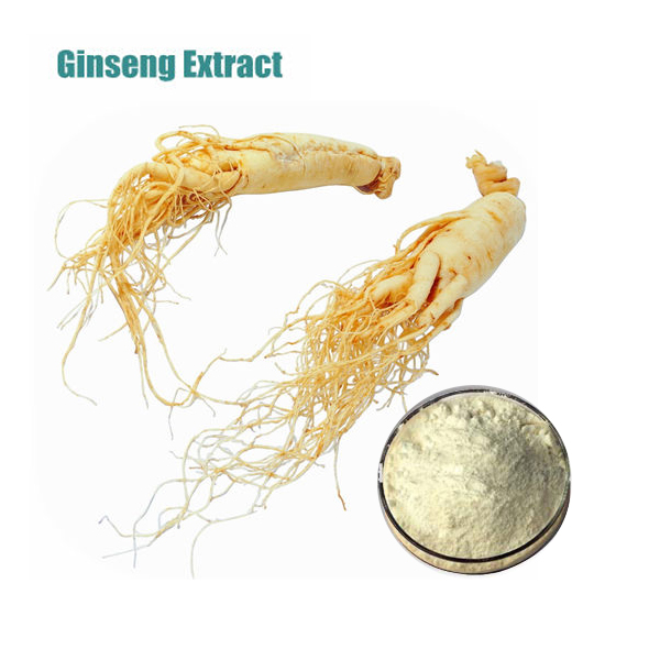 Chinese Panax Ginseng root extract