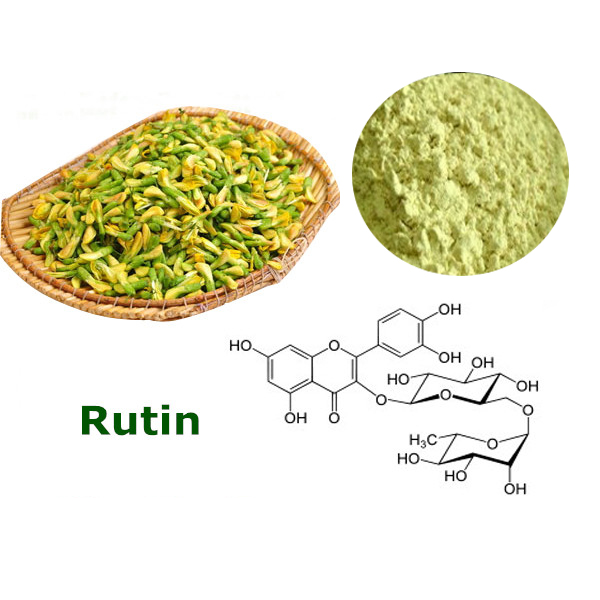 Besting Selling Sophora Japonica extract