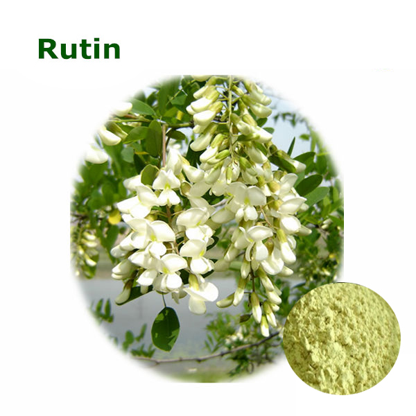 Supply Top Quality and Pure Natural Rutin