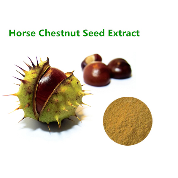 Horse chestnut Extract 20% Escine