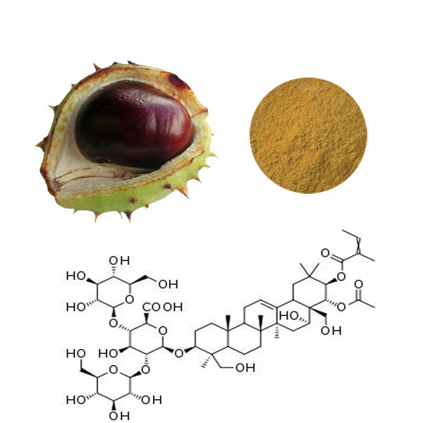 Factory Supply Natural Horse Chestnut extract aescin with 20%