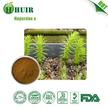	 1% Huperzine A bulk powder Huperzia Serrata extract 