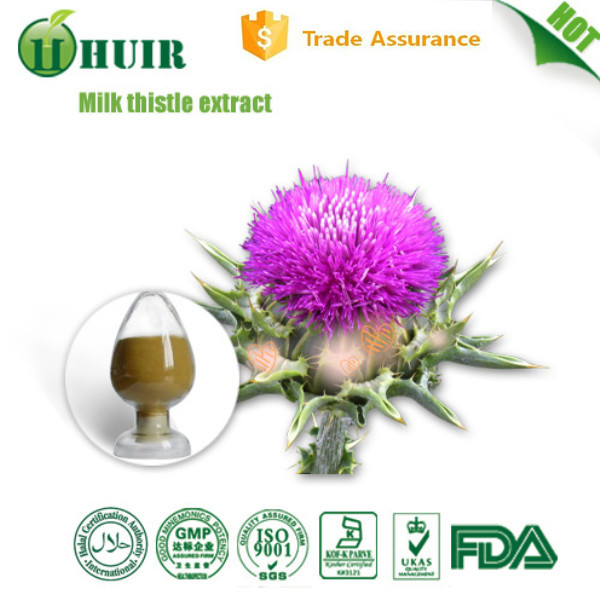 80% silymarin 30% silybin/isosilybin Milk thistle seed extract natural liver health