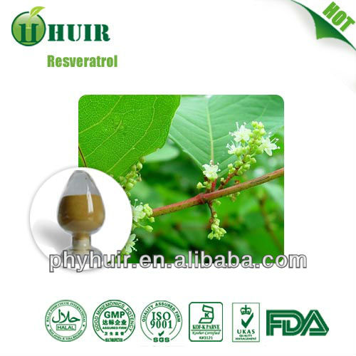 99% Trans Resveratrol Polygunom Cupsidatum Extract bulk powder