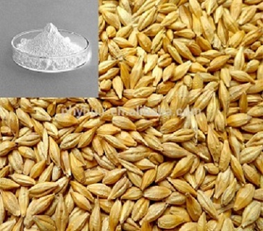 Hordenine hcl 98% hordenine hydrochloride Powder 