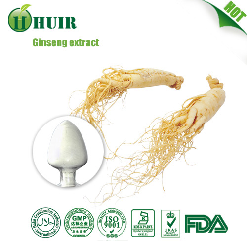 80% Korean red ginseng extract panax ginseng powder
