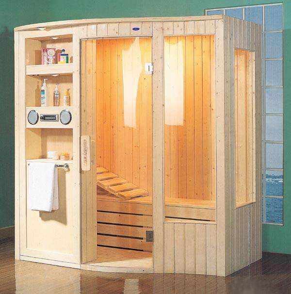 dry steam sauna room