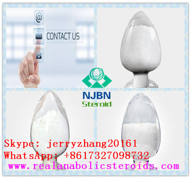 Factory Supply Natural Yeast Extract Powder CAS 8013-01-2 (jerryzhang001@chembj.com)