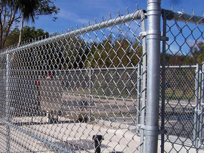 Anti-intruder Fence