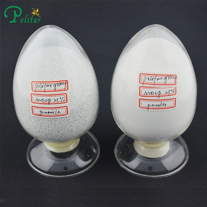 MDCP help animals absorption of calcium phosphate