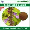Natural Coleus Forskohlii Extract Forskolin