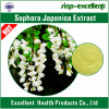 Sophora Japonica extract Rutin