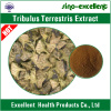 Tribulus terrestris extract with saponins