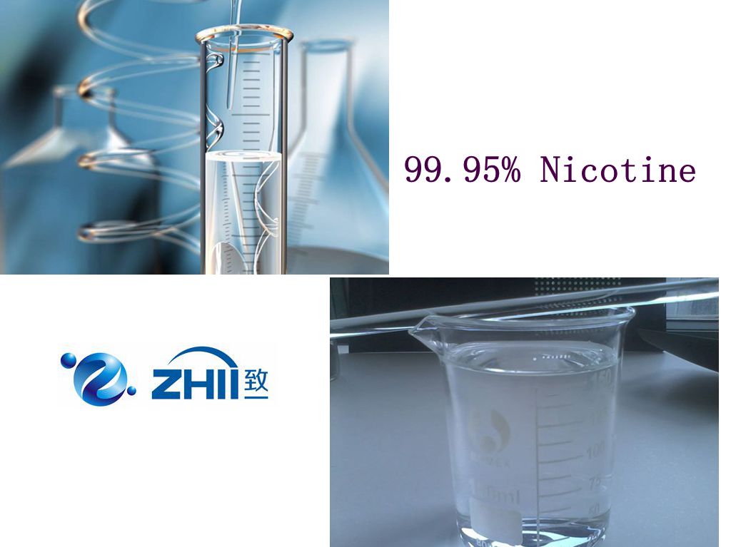 Synthesis nicotine