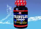 Tribulus 1000 --- Tribulus Terrestris Capsule for Natural Testosterone , Sports Nutrition Supplement