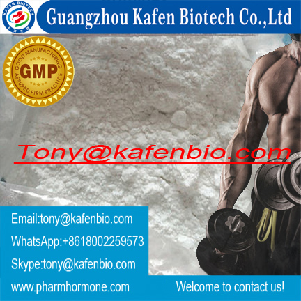 Test Prop Muscle Building Steroids Hormone Powder Testosterone Propionate