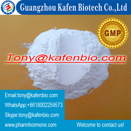 Anabolic Steroid Hormone Testosterone Undecanoate for Muscle Buildng