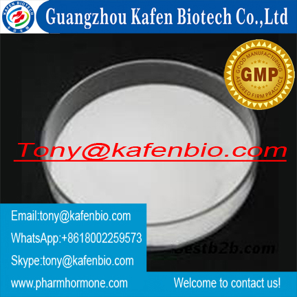 99% Steroids Powder Sustanon 100 / Sustanon 250 for Muscle Building with GMP Approved