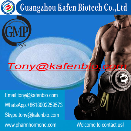 Halotestin Strength Gains Muscle Building Steroids Anabolic Androgens Fluoxymesterone Powder