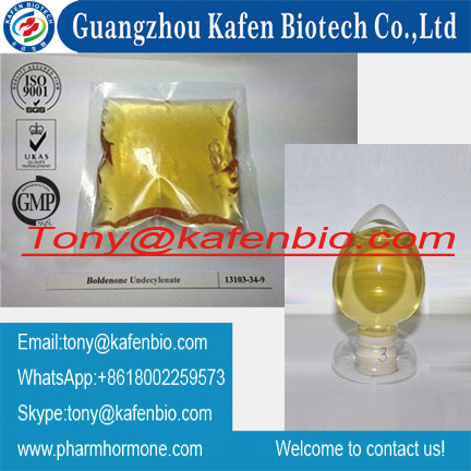 Yellow Liquid Injectable 13103-34-9 Anabolic Androgenic Powder Boldenone Undecylenate for Muscle Growth 