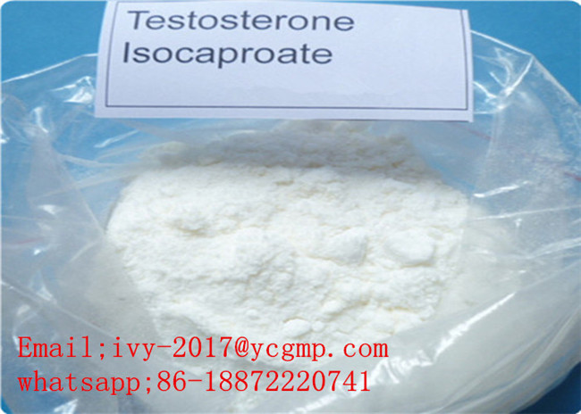 Testosterone Isocaproate 