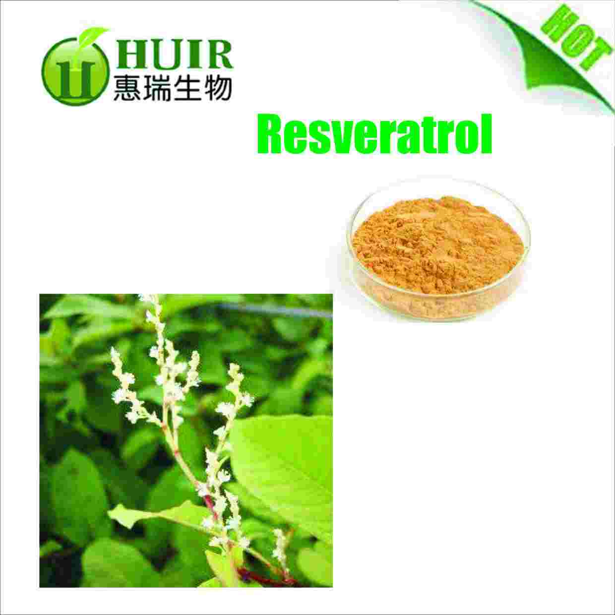 High quality Resveratrol 99%