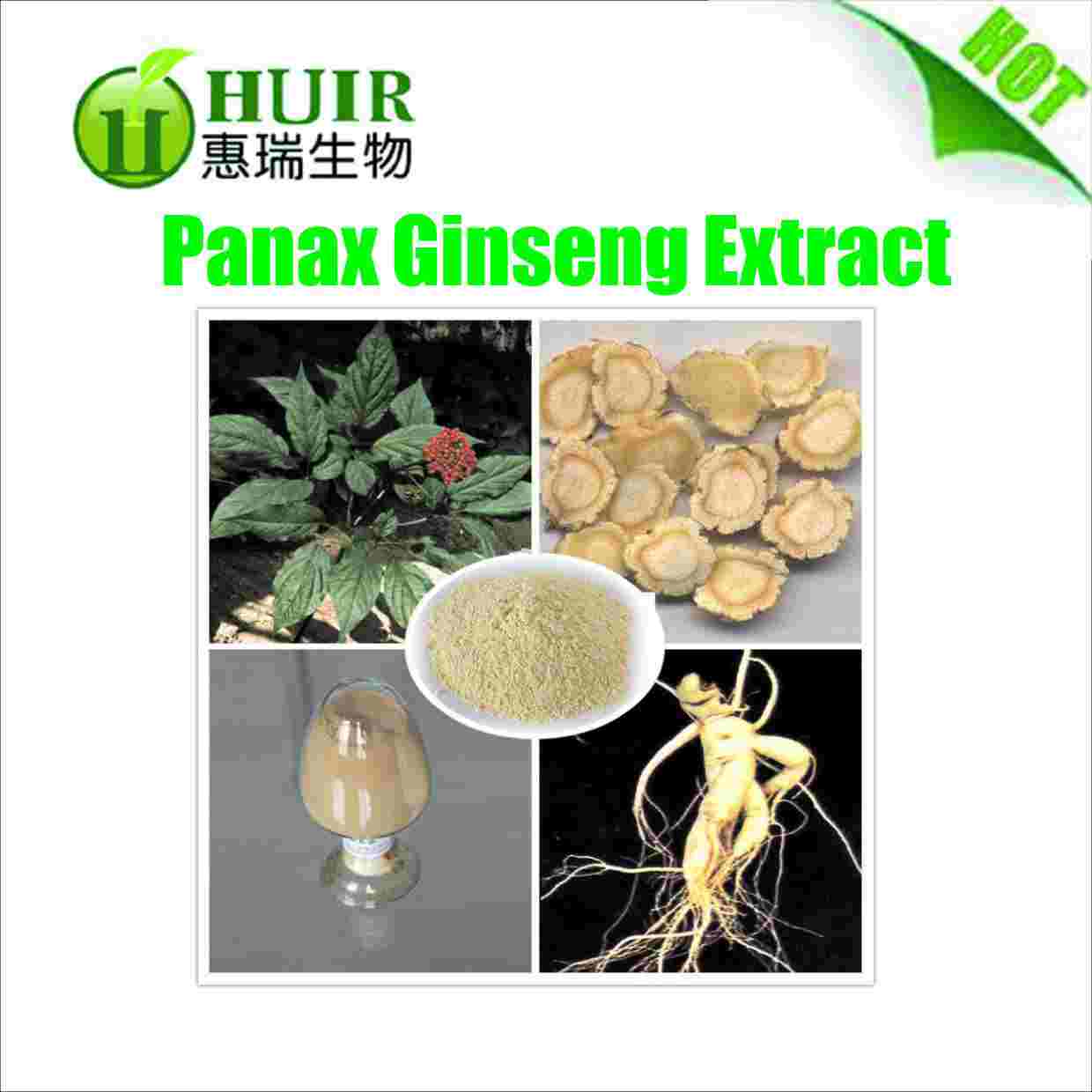 Panax Ginseng Extract