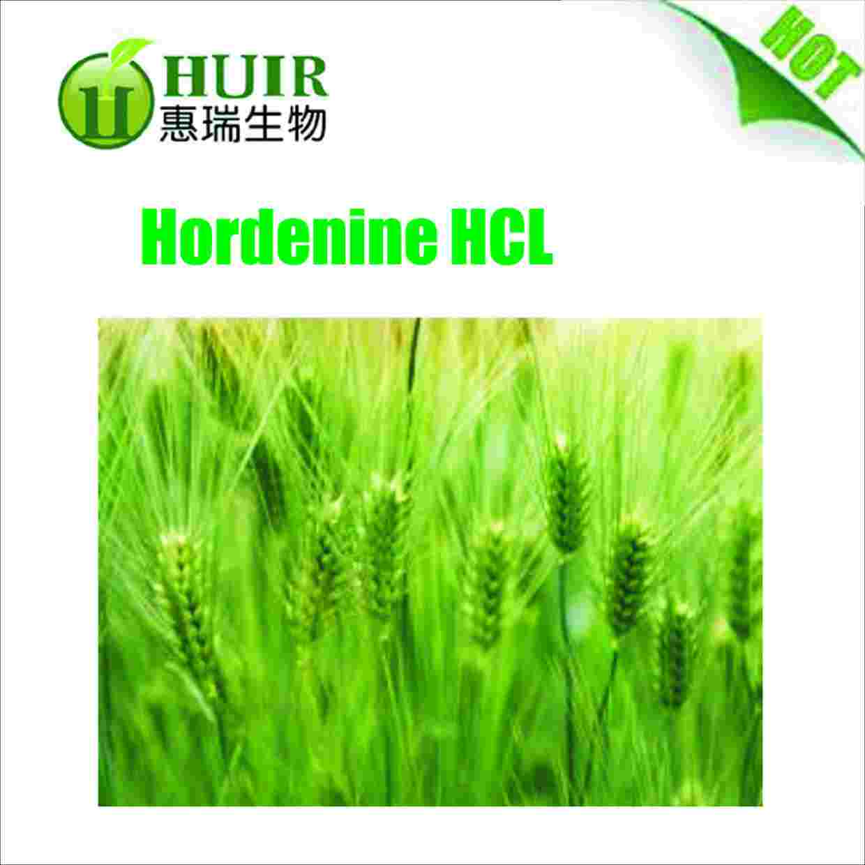 Huir hot product Hordenine HCL
