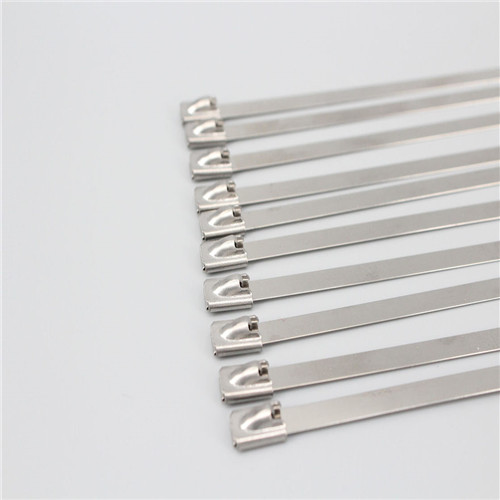 Stainless Steel Cable Tie/Cable Ties