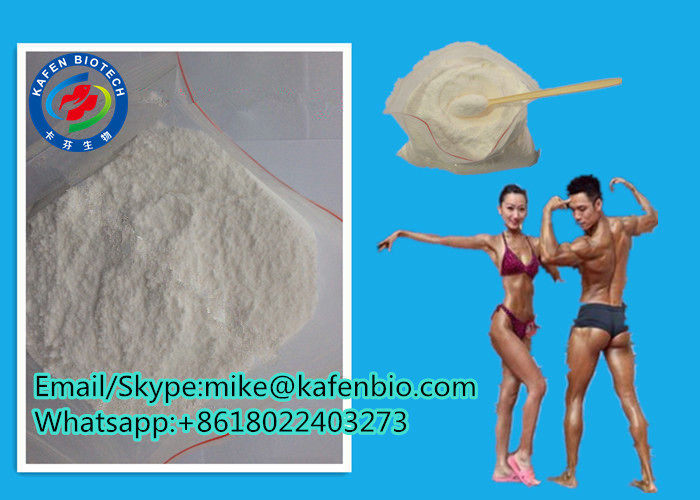 Progestogen Hormonal Gestodene CAS 60282-87-3 Female Anabolic Steroids