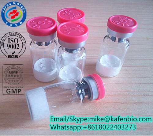 158861-67-7 White Ghrp-2 Human Growth Hormone For Bodybuilding 158861-67-7