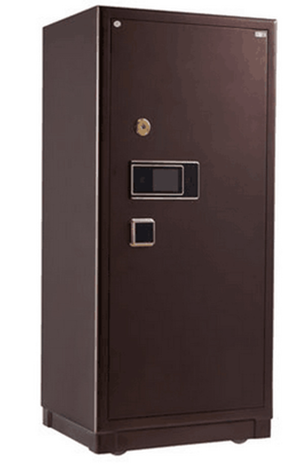 Type 1000 Safe Box